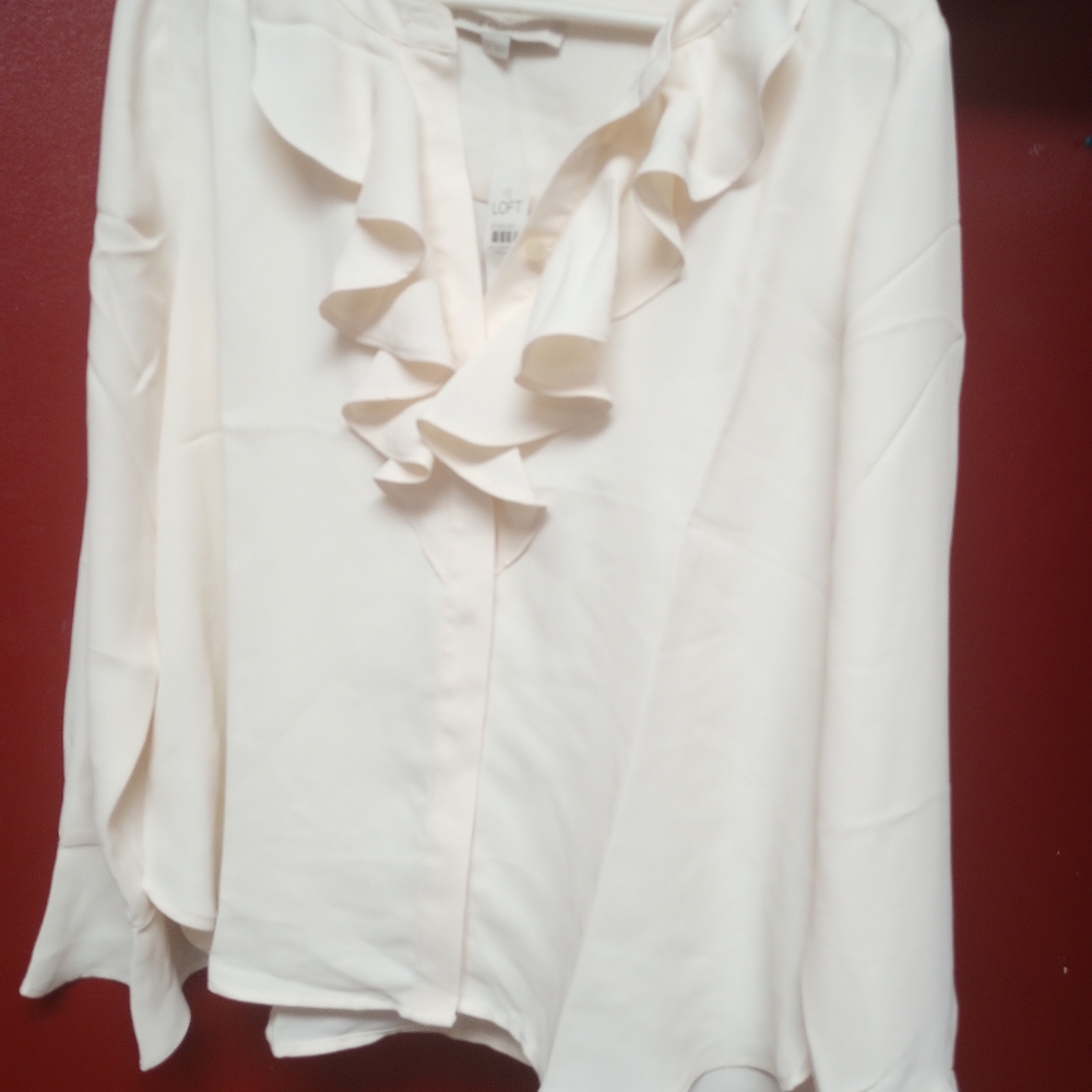 The Loft blouse
